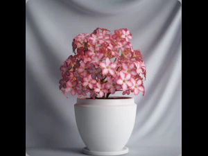 20 sets of C4D plants 3D Model