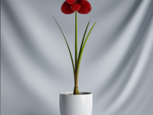 20 sets of C4D plants 3Dモデル