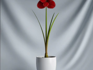 20 sets of C4D plants 3D Model
