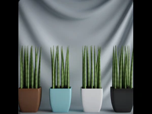 20 sets of C4D plants 3D Model