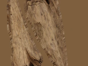 17 куча гнилых деревьев в формате C4D OBJ 3D Модель