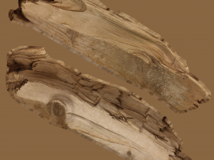 17 tree rot pile C4D OBJ format Modelo 3D