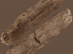 17 tree rot pile C4D OBJ format Modelo 3D