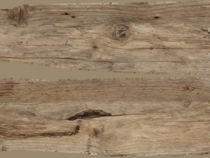 17 tree rot pile C4D OBJ format Modelo 3D
