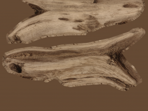 17 tree rot pile C4D OBJ format Modelo 3D