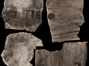 17 tree rot pile C4D OBJ format Modelo 3D