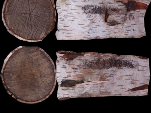 17 tree rot pile C4D OBJ format Modelo 3D