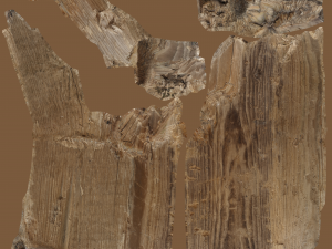 17 tree rot pile C4D OBJ format Modelo 3D