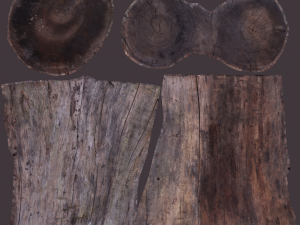 17 tree rot pile C4D OBJ format Modelo 3D