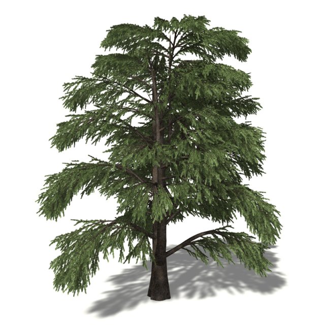 20 kinds of trees and shrubs in C4D OBJ format 3D Model .c4d .max .obj .3ds .fbx .stl .blend 