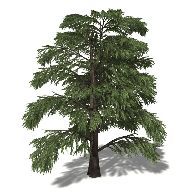 20 kinds of trees and shrubs in C4D OBJ format 3D Model .c4d .max .obj .3ds .fbx .stl .blend 