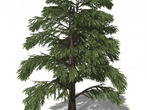 20 kinds of trees and shrubs in C4D OBJ format 3D मॉडल