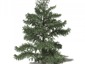 20 kinds of trees and shrubs in C4D OBJ format 3D Model