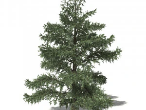 20 kinds of trees and shrubs in C4D OBJ format 3D Model