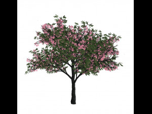 20 kinds of trees and shrubs in C4D OBJ format 3D Model