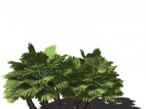 20 kinds of trees and shrubs in C4D OBJ format 3D Model