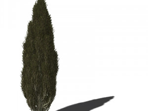 20 kinds of trees and shrubs in C4D OBJ format 3D Model