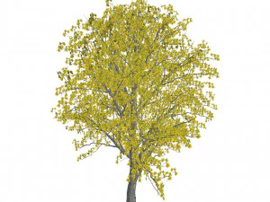 60 models of hilly plains plants 3D Model