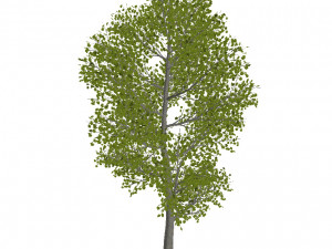 60 models of hilly plains plants Modelo 3D