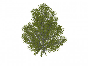 60 models of hilly plains plants Modelo 3D