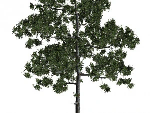 60 models of hilly plains plants 3D Model