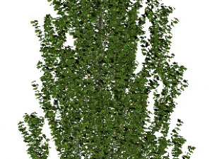 60 models of hilly plains plants 3D Model