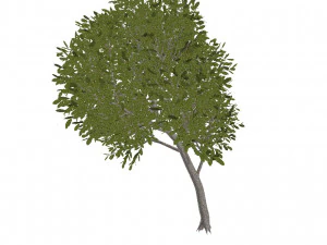 60 models of hilly plains plants 3D Model