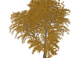 60 models of hilly plains plants 3D Model