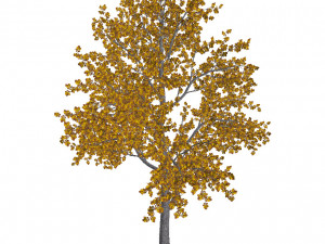 60 models of hilly plains plants Modelo 3D