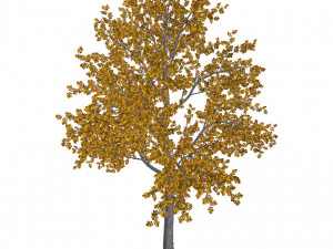 60 models of hilly plains plants 3D Model