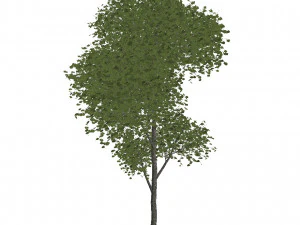 60 models of hilly plains plants 3D Model