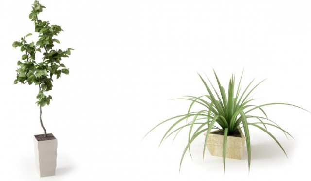 67 models of plants and flowers Model 3D .c4d .max .obj .3ds .fbx .stl .blend 