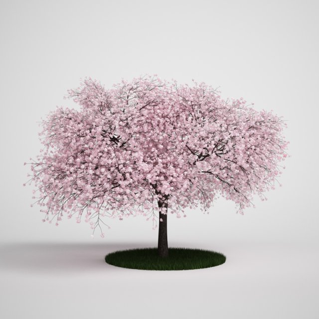 Flowering Tree Modelo 3D .c4d .max .obj .3ds .fbx .stl .blend