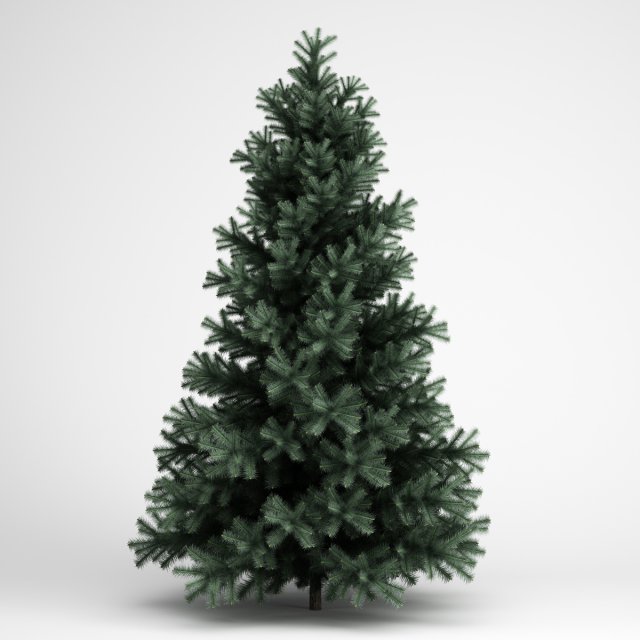 Alpine Fir 3D Model .c4d .max .obj .3ds .fbx .stl .blend 