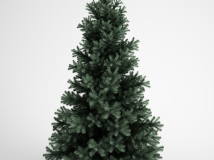 Alpine Fir 3Dモデル