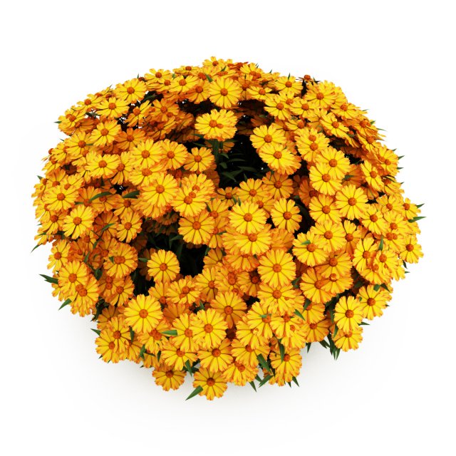 Garden flower plants 3D Model .c4d .max .obj .3ds .fbx .stl .blend 