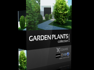 Garden flower plants 3D Model