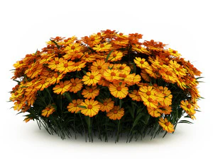 Garden flower plants 3D Model