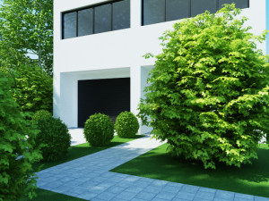 Garden flower plants 3D Model