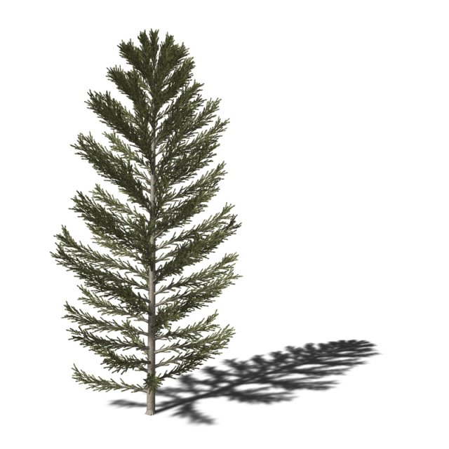 A collection of tree models 3D Model .c4d .max .obj .3ds .fbx .stl .blend 