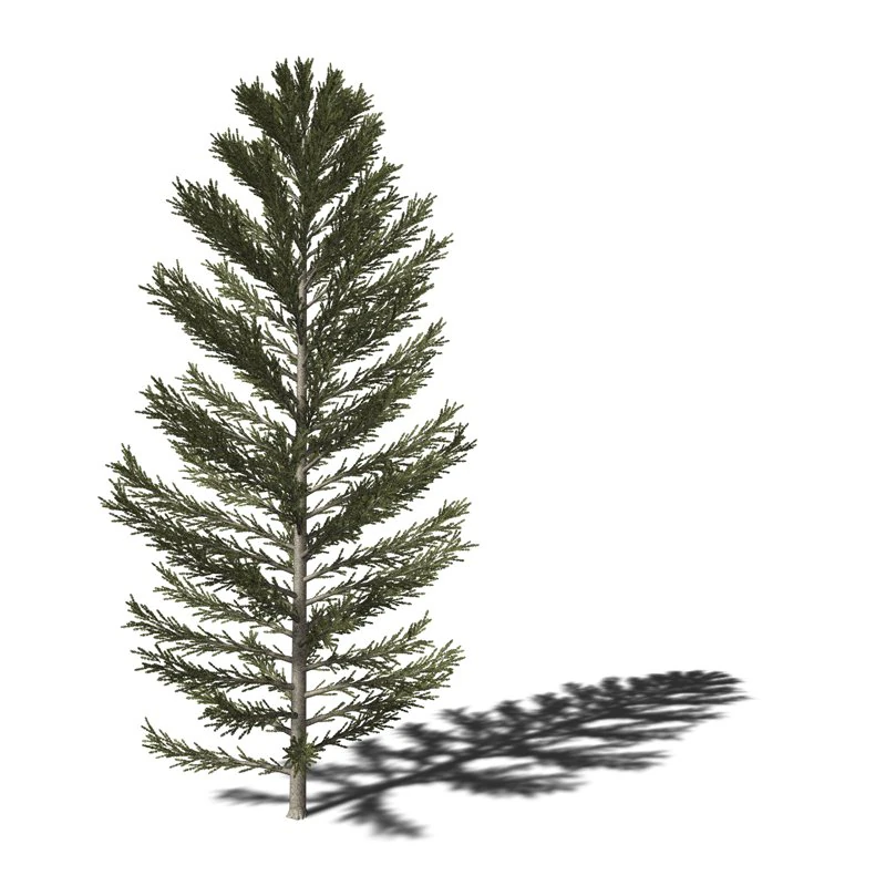 A collection of tree models 3D Model .c4d .max .obj .3ds .fbx .stl .blend 