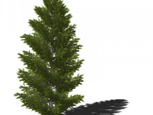 A collection of tree models 3D Model