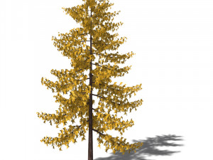 A collection of tree models 3D Model