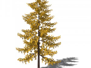 A collection of tree models 3D Model