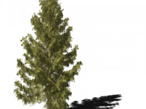 A collection of tree models 3D Model