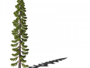 A collection of tree models 3D Model