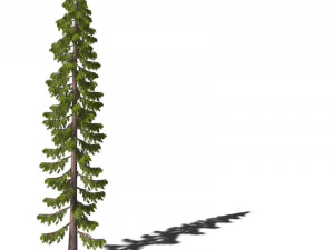 A collection of tree models 3D Model