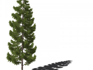 A collection of tree models 3D Model
