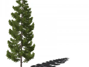 A collection of tree models 3D Model