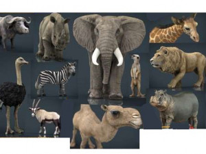 African wildlife 3D Model